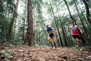 BIB: 
                            <button type="button" onclick="openModal(25261172)" class="btn btn-primary btn-sm float-right btn-popup" data-toggle="modal" data-target=".modal-high-quality">
                        <i class="fas fa-shopping-cart"></i> Add to Cart
                    </button>
                                            <button type="button" onclick="isThisMe(25261172, true)" class="btn btn-success btn-sm float-right btn-popup btn-isme hidden" data-toggle="tooltip" data-placement="bottom" title="นี่คือรูปของคุณใช่ไหม คลิกที่นี่เพื่อเอาเข้าอัลบั้ม">
                        <i class="fas fa-plus"></i> Add to album
                    </button>
                    <button type="button" onclick="isThisMe(25261172, false)" class="btn btn-warning btn-sm float-right btn-popup btn-isnotme hidden">
                        <i class="fas fa-ban"></i> Remove from album
                    </button>